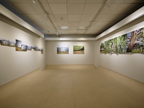 Exposici&oacute;n sala Alterarte univesidade de Ourense 2026