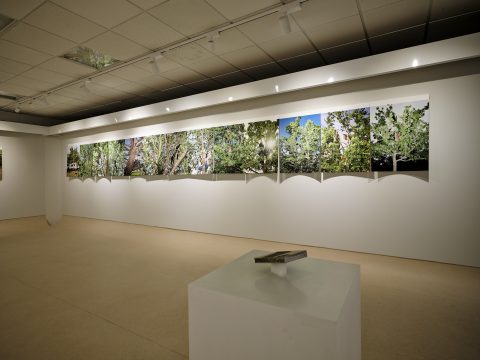 Exposici&oacute;n sala Alterarte univesidade de Ourense. 2026