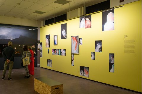 Exposici&oacute;n en Liile Francia