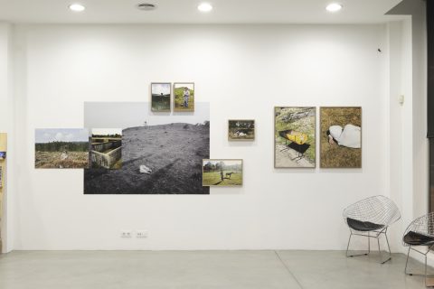 Exposici&oacute;n Sala Dispara